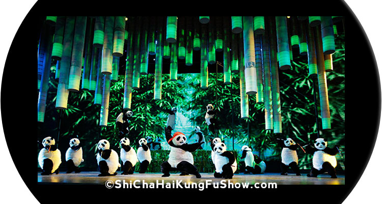 Kung Fu Panda Show